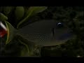 musica de richard warner con el tema water del album tao te ching