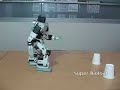 Robot Soccer (Bioloid)