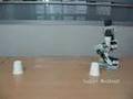 Robot Soccer (Bioloid)