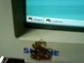 old skool distro: redhat 5.2 old skool distro: redhat 5.2