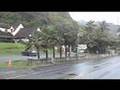 Hawaiian-legend-Crou