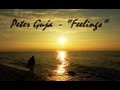 PETER GUJA - THE FEELINGS Miami Vice tribute
