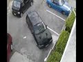 Guy Gets Revenge On Cat