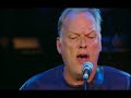david gilmour   dont  elvis presley cover 