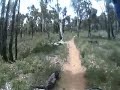 WR250R5.avi