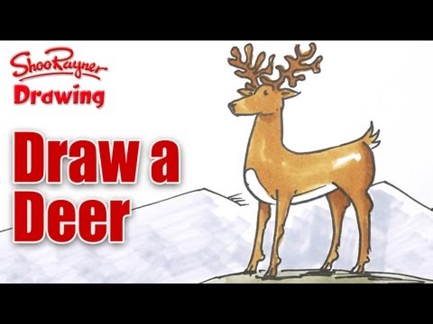 How to draw A Deer