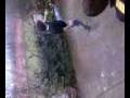 my new jumpstyle.3gp