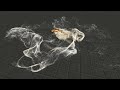 This application uses a GPU based 3D fluid solver with a moving domain to seamlessly advect hundreds of thousands of particles. We use a globally second-order accurate fluid simulation method which takes constant calculation time, leading to a highly turbulent but stable simulation suitable for use in a real-time situation. In this demo our solver is used to simulate the turbulent wake behind a car, and we render smoke transported through that wake with a hardware-based volume renderer. The ...