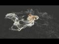 Real Time 3D Fluid and Particle Simulation and Rendering