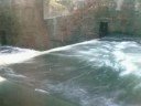 Fish Hatchery