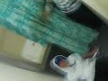 Us setting the toilet on fire 3