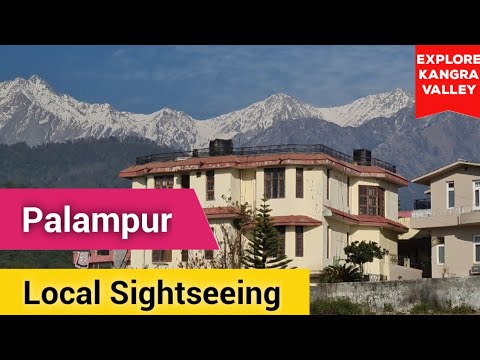 Places to Visit in Palampur Kangra Valley Himachal Pradesh Road Trip P-5 Neugal Tea Chamunda Devi