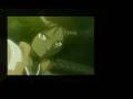 Yoruichi Disturbia 2: A Tribute to all Yoruichi Fans!
