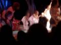 videos de 0293 341