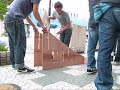 MYCTC  BOX
