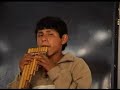 Pan pipes of CIMA
