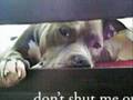 BSL Forget The World