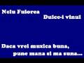 videos de Nelu Fuiorea