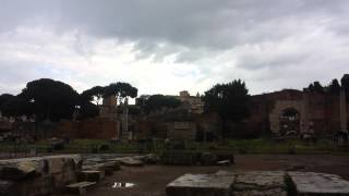 Il Foro Romano al tempo dei gabbiani