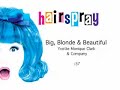 Hairspray Tour 2006 Montage Hairspray Tour 2006 Montage