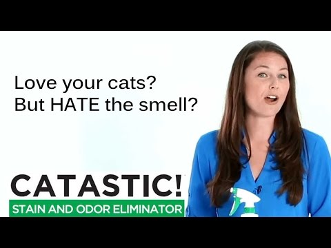 Cat Urine Smell