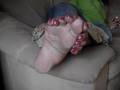 Misstoenails rubes her foot-soles with her long toenails