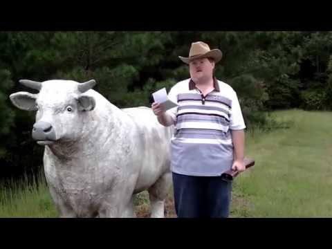 Mississippi State Superfan 'Stingray' Goes After Auburn Fan Tammy