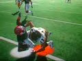 Troy Polamalu Troy Polamalu