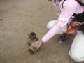 lovely and lucky monkey