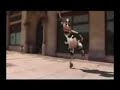 crazy cow comedy fun