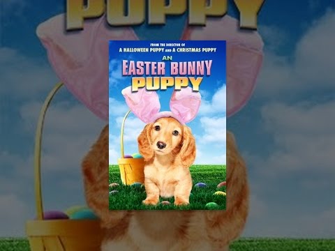 An Easter Bunny Puppy