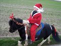 Nikolaus und das Pony mit der roten Nase