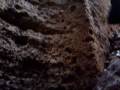 videos de Grotta dell edera 28 12 2008