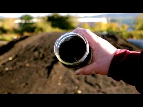 how to fertilize ash trees