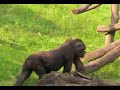 Pra?sk� ZOO -- Moja