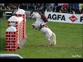 Horse Falls 2