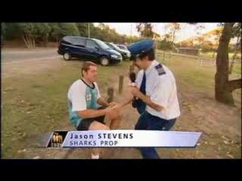 Trent The American Flight Steward 2