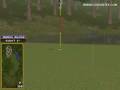 videos de Golden Tee Great Shot on Black Hills!