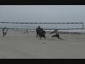 Tijuana