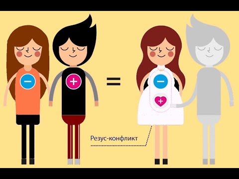 Видео: 2 группа крови: совместимость и характеристика
