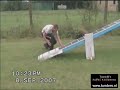 agility electronic running contact training