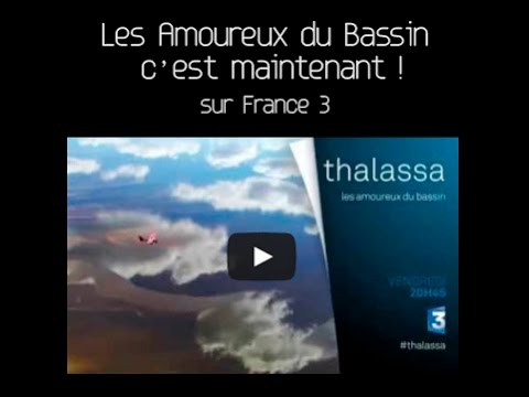 Image de prévisualisation YouTube