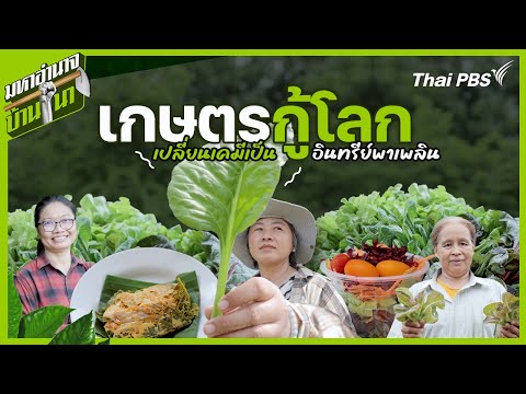 เกษตรกู้โลก เปลี่ยนเคมีเป็นอินทรีย์พาเพลิน