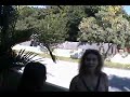 Jehovah's Witnesses come knocking