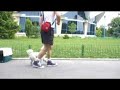 Clicker training! Showing how funny the dogs are!