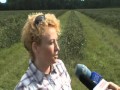 Click to View : Wywiad z Dorotą Nowak koordynatorem ds. promocji i eksportu