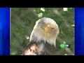 Lodi Zoo Aims To Regain Accreditation