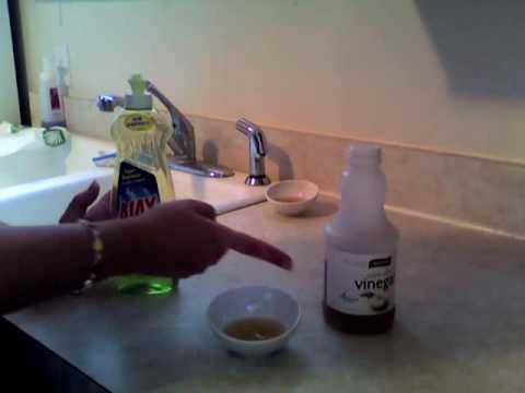 how to get rid of drain flies uk