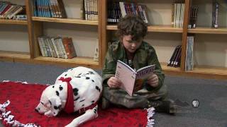 Spotlight - Therapy Dog For Reading