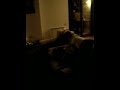 festino di un ragazzo ternano festino di un ragazzo ternano